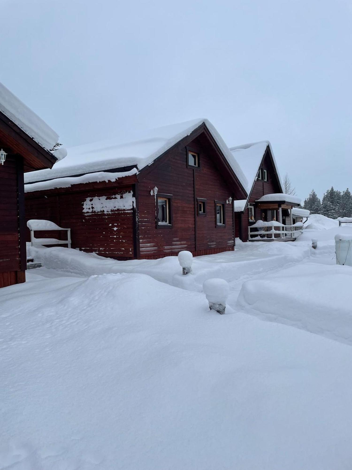 Skogen-Lodge Koskullskulle Exterior foto